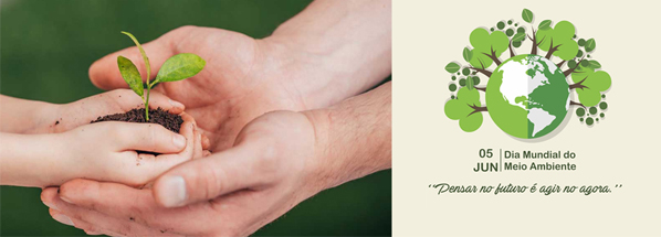 CSI sustentável: diversas ações refletem cuidado com a Casa Comum